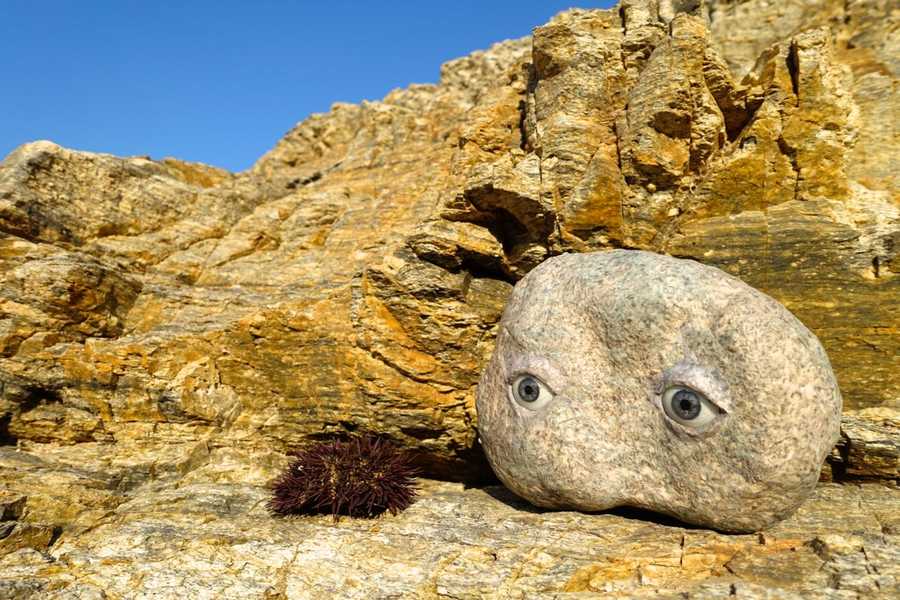 Mykonos Biennale -  -  