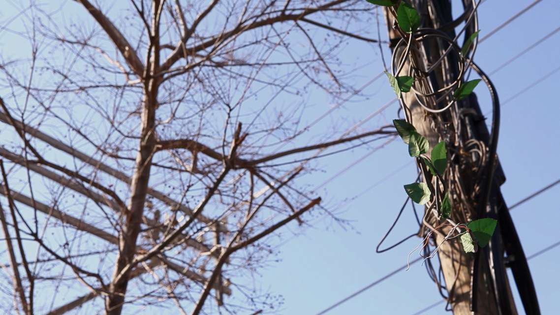 Mykonos Biennale 2015 - Film Festival -  Made you Look - Wires - screen shot