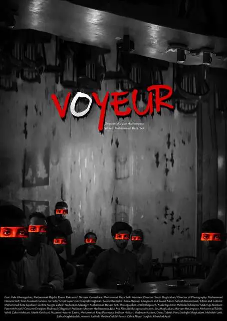 Mykonos Biennale 2015 - Film Festival -  Voyeur-4 - screen shot