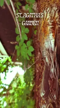 St. Agatha's Garden Poster