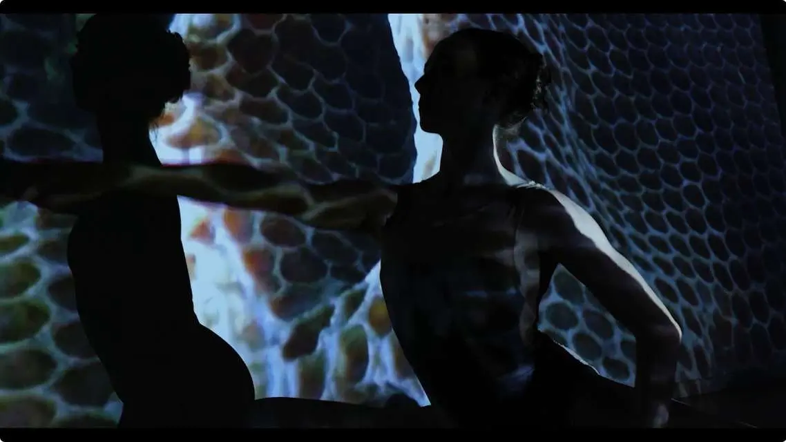 Mykonos Biennale 2015 - Film Festival -  Wild Hive 4 - screen shot
