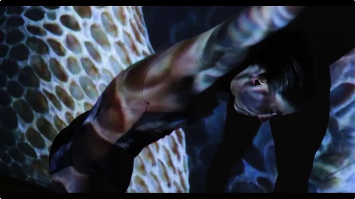 Mykonos Biennale 2015 - Film Festival -  Wild Hive 2 - screen shot