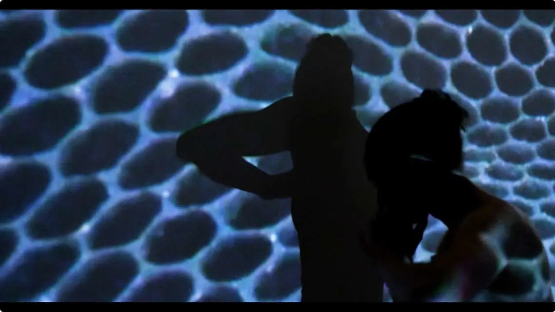 Mykonos Biennale 2015 - Film Festival -  Wild Hive 6 - screen shot