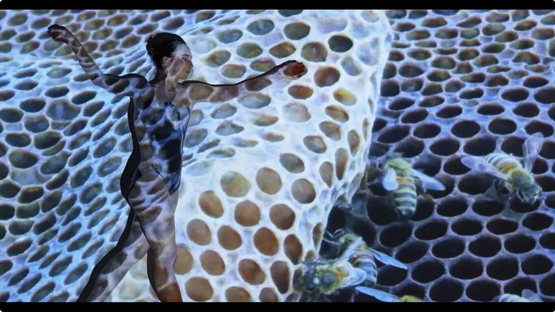 Mykonos Biennale 2015 - Film Festival -  Wild Hive 9 - screen shot