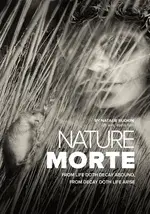 NATURE MORTE Poster