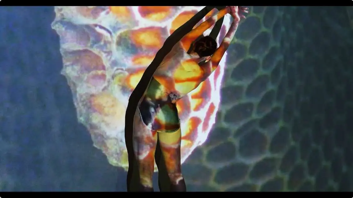 Mykonos Biennale 2015 - Film Festival -  Wild Hive 8 - screen shot