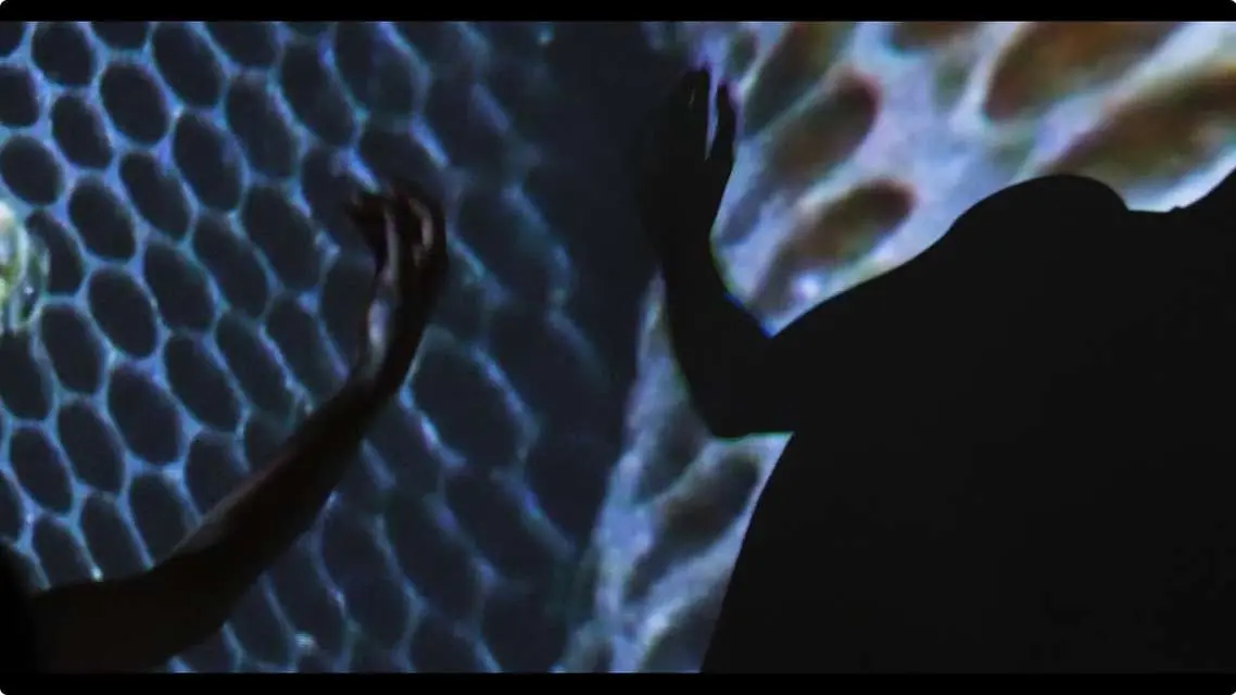 Mykonos Biennale 2015 - Film Festival -  Wild Hive 3 - screen shot
